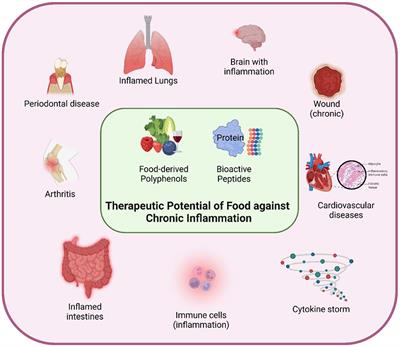 Editorial: Intervention effects of food-derived polyphenols and bioactive peptides on chronic inflammation